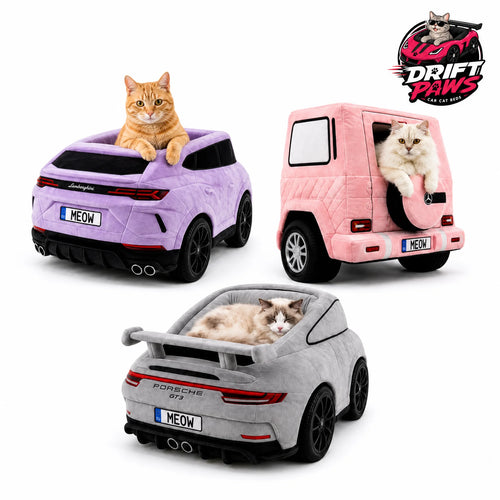 DriftPaws Luxury Car Beds for Cats